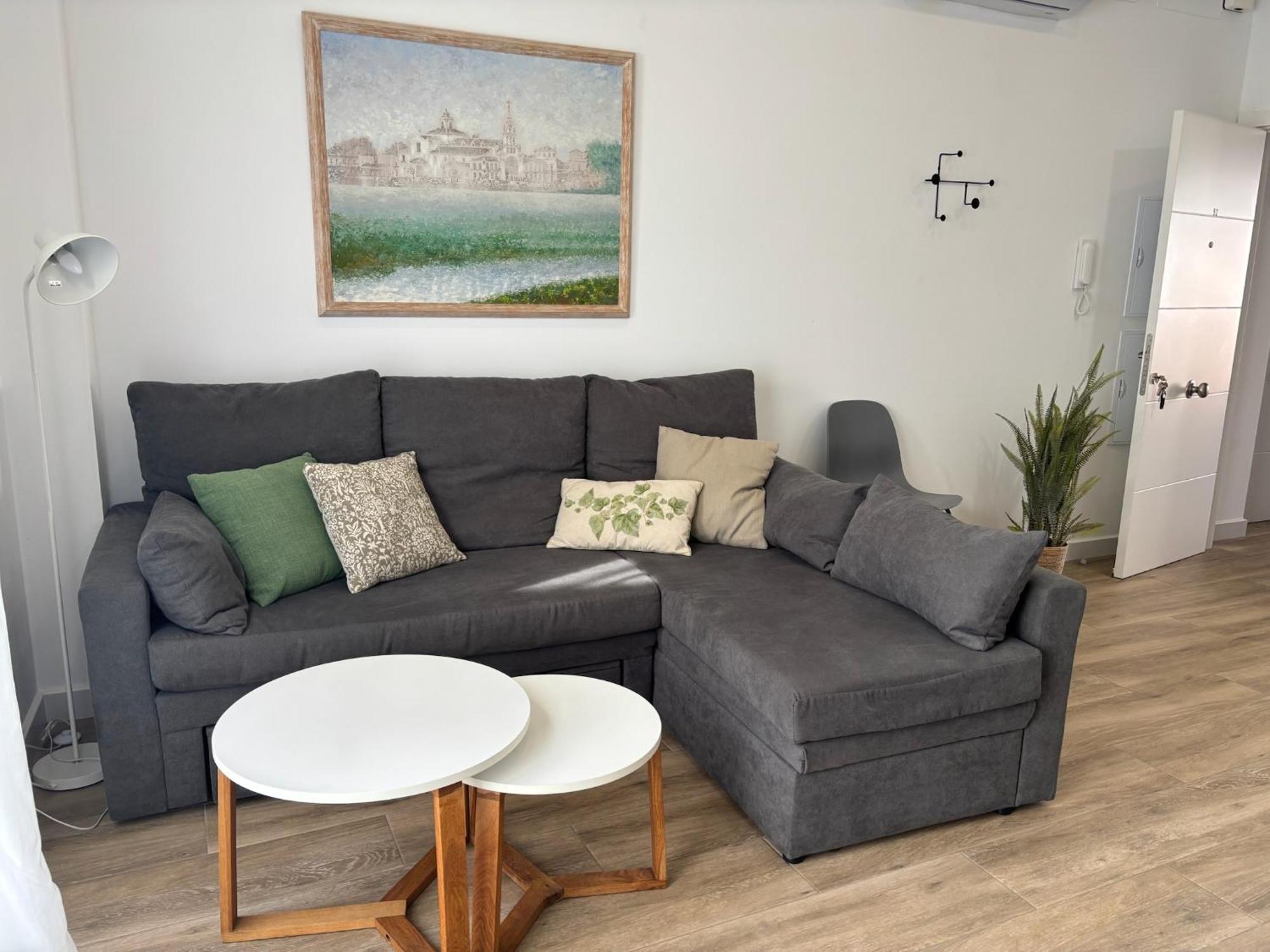 Puerta Del Buey Apartment
